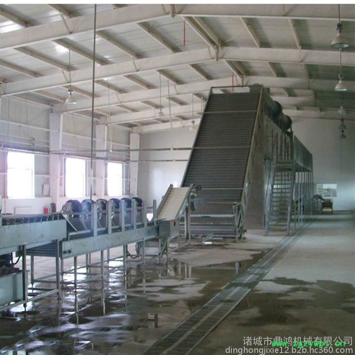 鼎鸿牌HG-4/3型茶树菇烘干机 香菇干燥设备 大枣烘干流水线 包装袋快速烘干机 山药片烘干机 药材烘干流水线图7