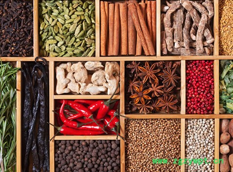 供应蜀冷5匹中药材烘干机 中药材烘干设备