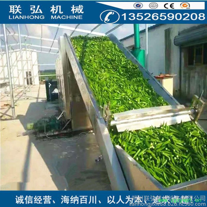 联弘DW-1.2-8  穿流干燥机 网带式蔬菜烘干机 粮食中草药烘干设备 西瓜子干燥机图7