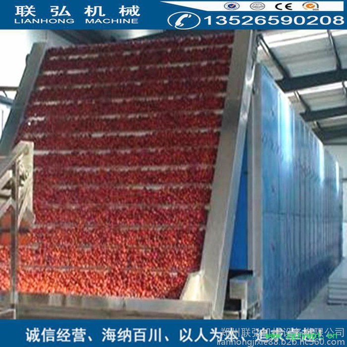 联弘DW-1.2-8  穿流干燥机 网带式蔬菜烘干机 粮食中草药烘干设备 西瓜子干燥机图3