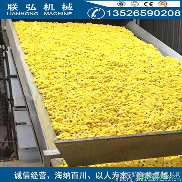 联弘DW-1.2-8  穿流干燥机 网带式蔬菜烘干机 粮食中草药烘干设备 西瓜子干燥机图6