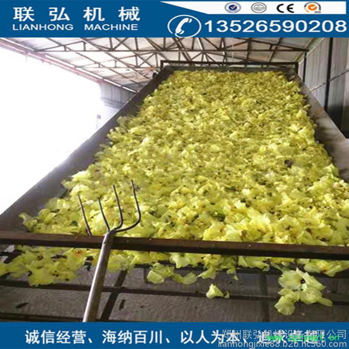 联弘DW-1.2-8  穿流干燥机 网带式蔬菜烘干机 粮食中草药烘干设备 西瓜子干燥机图8