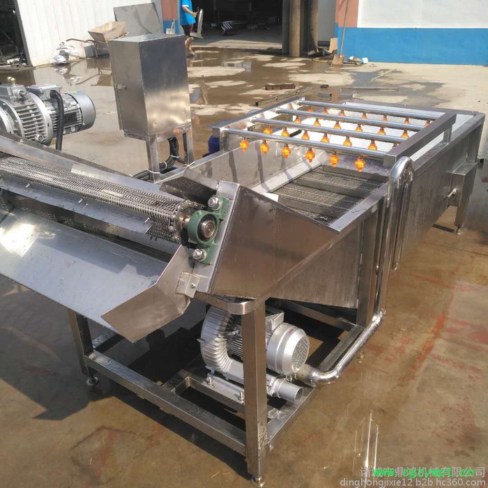 鼎鸿QX-3000型雪莲清洗机 大姜清洗流水线  蕨菜清洗机 中药材清洗设备  蕨菜清洗流水线 自动清洗 循环用水图4