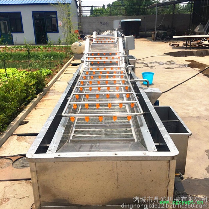 鼎鸿QX-3000型雪莲清洗机 大姜清洗流水线  蕨菜清洗机 中药材清洗设备  蕨菜清洗流水线 自动清洗 循环用水图3