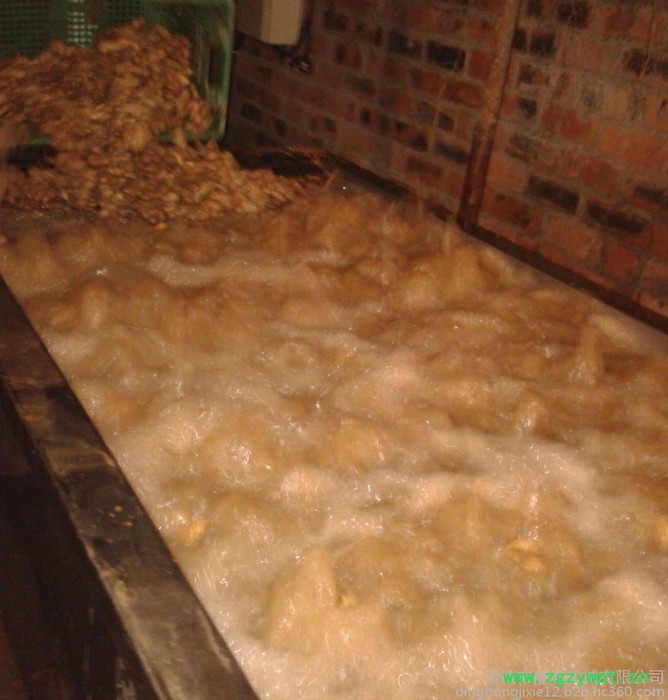 鼎鸿QX-3000型雪莲清洗机 大姜清洗流水线  蕨菜清洗机 中药材清洗设备  蕨菜清洗流水线 自动清洗 循环用水