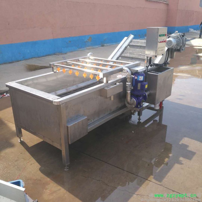 鼎鸿QX-3000型雪莲清洗机 大姜清洗流水线  蕨菜清洗机 中药材清洗设备  蕨菜清洗流水线 自动清洗 循环用水图5