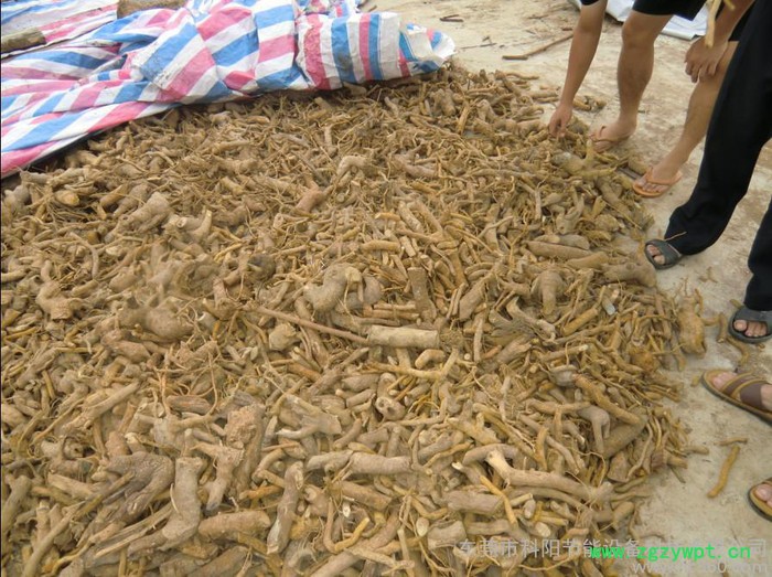 干燥  烘干 药材烘干 中药材烘干机图3