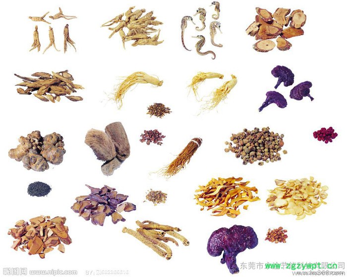 厂家供应中药材烘干机，烘干设备，全国上门安装，保修！图2