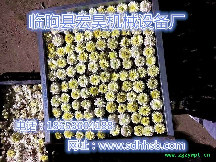 宏昊HH-1500 金丝皇菊烘干机 贵妃菊烘干房 菊花 杭白菊等 煤电两用 中药材烘干设备 价格实惠 质量保证 欢迎定制图8