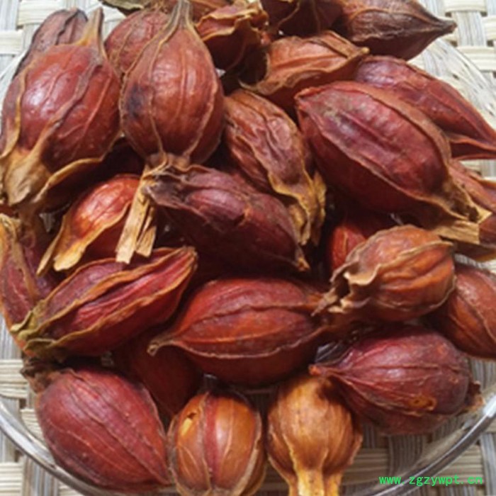 临泉宇诚新型中药材烘干设备人参砂仁白术栀子烘干机经久耐用（链板）图2