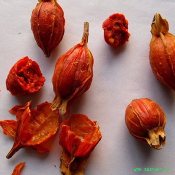 临泉宇诚新型中药材烘干设备人参砂仁白术栀子烘干机经久耐用（链板）图3