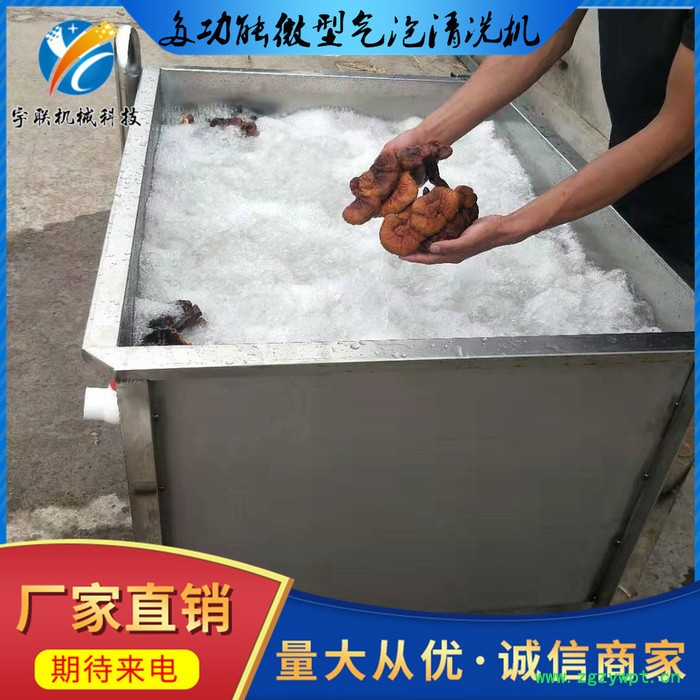 大中小微型瓜果蔬菜清洗设备 中药材清洗设备 清洗设备生产厂家宇联机械科技图2