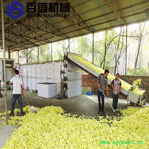 金花葵烘干机 多层连续式金花葵烘干机 干花药材带式烘干设备图3