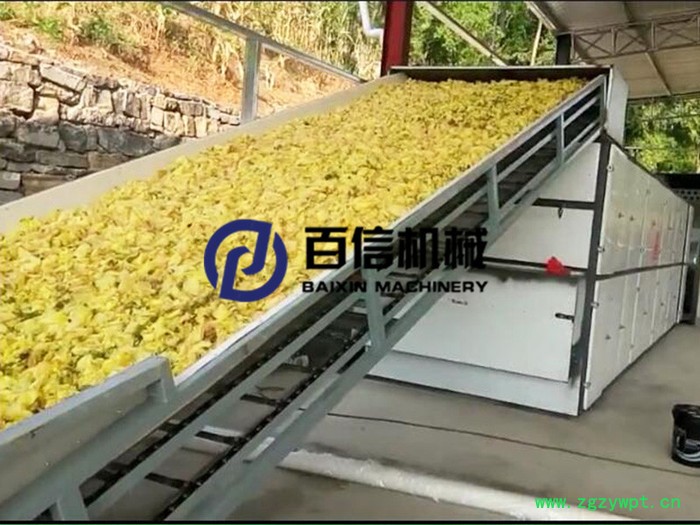 金花葵烘干机 多层连续式金花葵烘干机 干花药材带式烘干设备图4