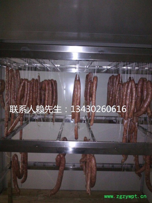 驰腾虫草花节能型烘干机CT-6RB-1CT-6RB-1 中药材烘干机图2