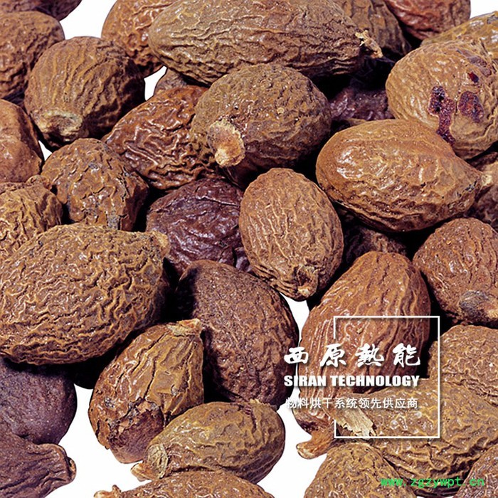 供应西原SR-HF-30中药材烘干机图4