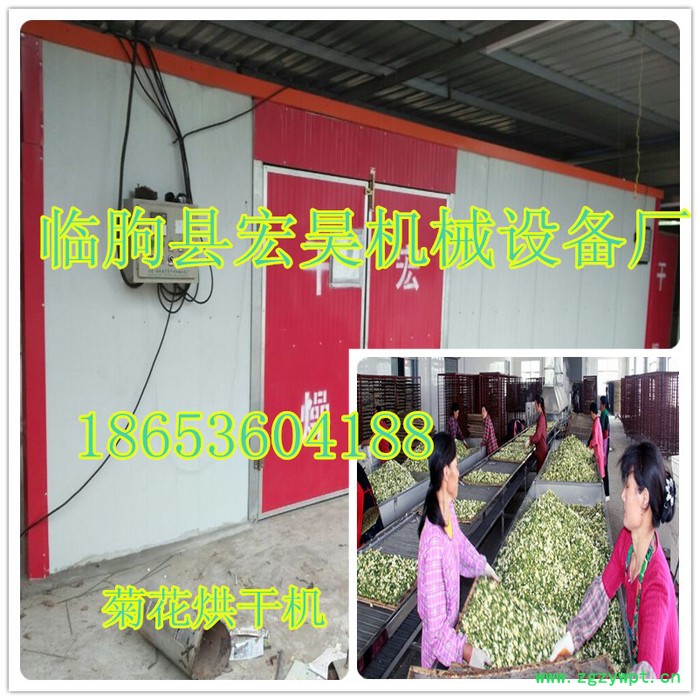 供应 菊花烘干机 中药材干燥房 贡菊花烘干设备 烘干箱 金银花烘干机图2