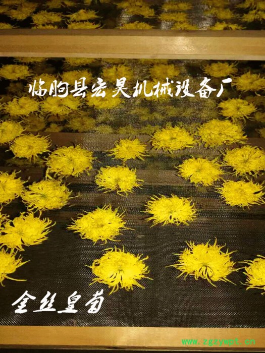 宏昊HH-80 菊花烘干机 杭白菊烘干机 金丝皇菊烘干房 煤电两用 中药材烘干设备 高质量 价格优惠 欢迎定制加工图8