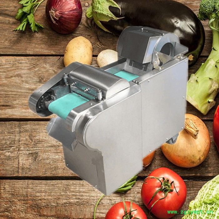 佳鑫年糕鱼豆腐切块机  多功能药材切段机  牛蹄筋切块设备 厂家厨房用具切菜机图4