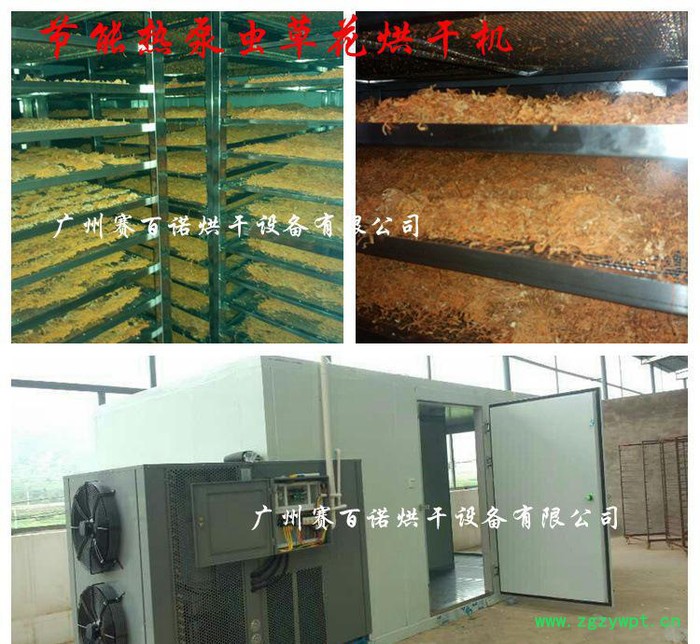 节能热泵虫草花烘干箱 中药材虫草花烘干机图2