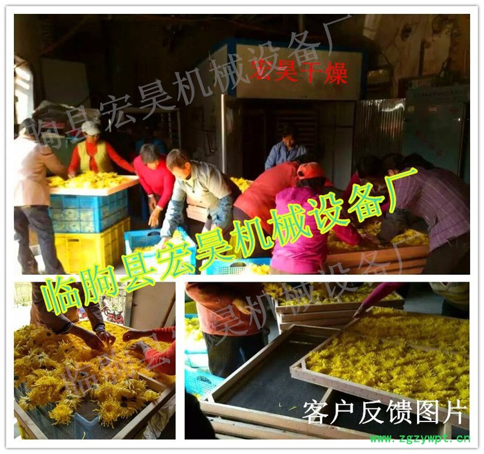 宏昊HH-100菊花烘干机 中药材烘干机 电加热 煤加热 高质量价格便宜 欢迎定制加工图5