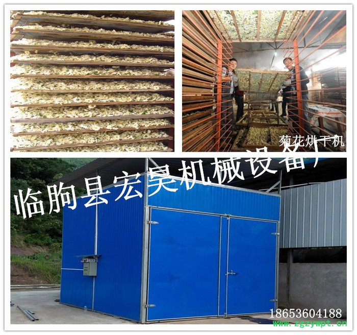 宏昊HH-300供应 菊花烘干机 中药材烘干箱 贡菊花烘干设备 煤电一体机 不变色**图6