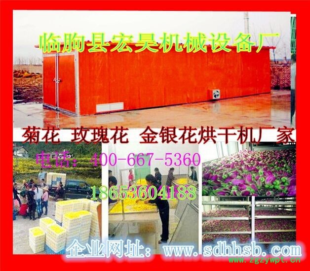 宏昊HH-300供应 菊花烘干机 中药材烘干箱 贡菊花烘干设备 煤电一体机 不变色**图3
