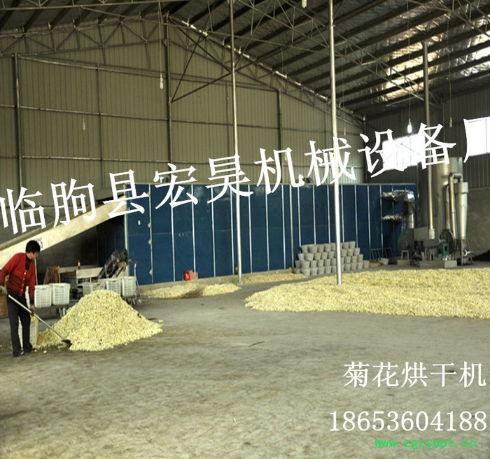 宏昊HH-300供应 菊花烘干机 中药材烘干箱 贡菊花烘干设备 煤电一体机 不变色**图5