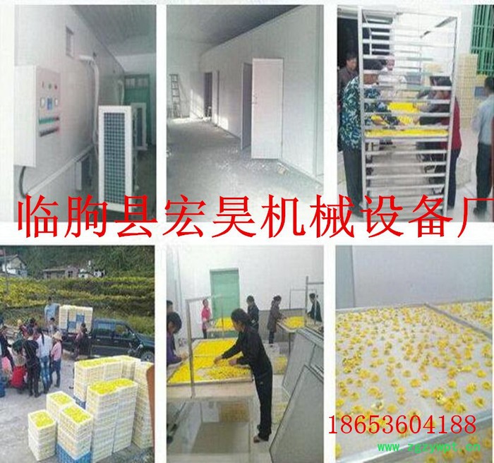 宏昊HH-300供应 菊花烘干机 中药材烘干箱 贡菊花烘干设备 煤电一体机 不变色**图2