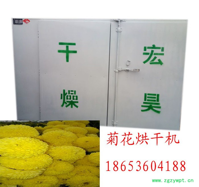 宏昊HH-300供应 菊花烘干机 中药材烘干箱 贡菊花烘干设备 煤电一体机 不变色**图7