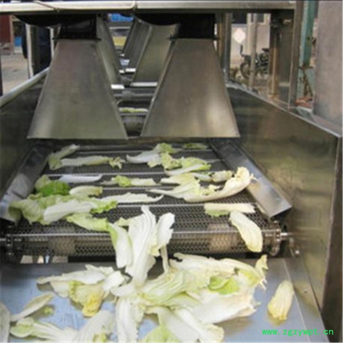 鲁研  软包装豆干除水机 药材风干机 竹笋风干机 果蔬风干设备图4