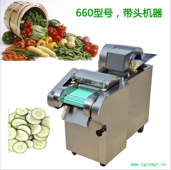 660型果蔬加工设备 多功能切菜机价格 药材切丁机图6