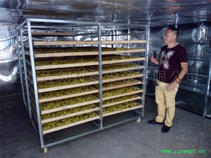 环保节能**黄秋葵烘干机 荷叶粽叶热风循环烘箱 农副产品烘干设备中药材干燥设备图5