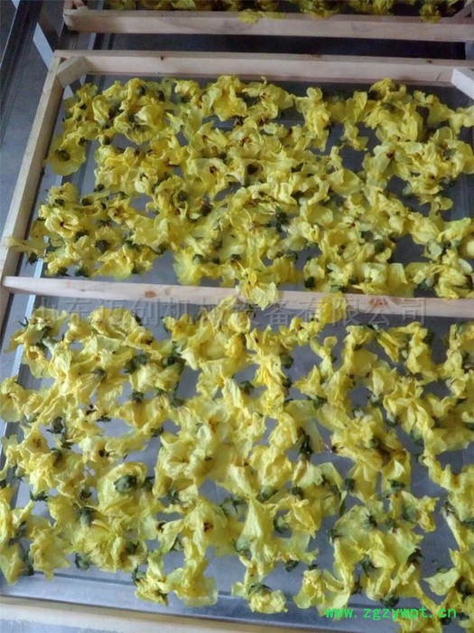 环保节能**黄秋葵烘干机 荷叶粽叶热风循环烘箱 农副产品烘干设备中药材干燥设备图6
