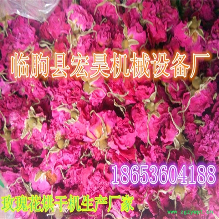 厂家供应  金银花烘干机 玫瑰花干燥机 栀子花烘干机 中药材烘干机图3