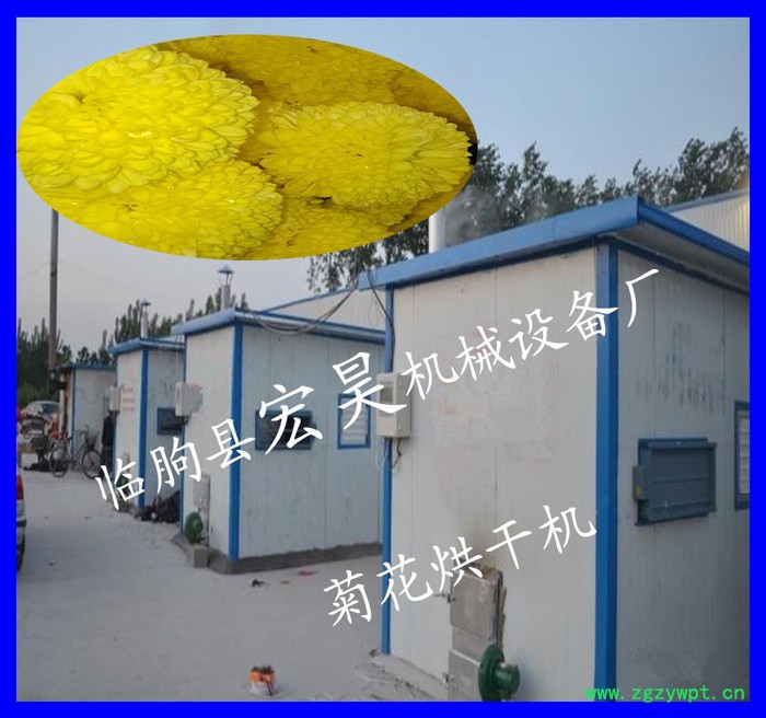 宏昊HH-100 菊花烘干机 金银花烘干机 中药材烘干机 中药材厂家专业烘干设备 高质量 价格优 欢迎定制加工图2