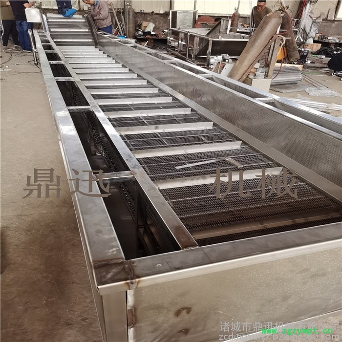 鼎迅DX-500 水果清洗机 全自动蔬菜清洗机 喷淋式洗果机 海鲜清洗设备 中药材清洗设备