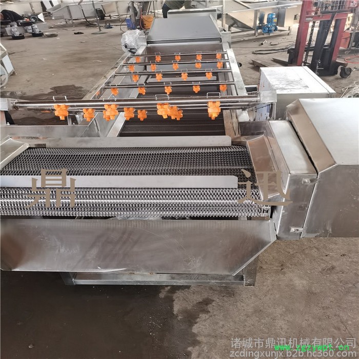 鼎迅DX-500 水果清洗机 全自动蔬菜清洗机 喷淋式洗果机 海鲜清洗设备 中药材清洗设备图4