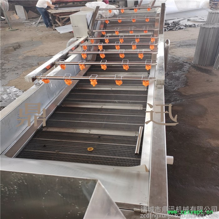 鼎迅DX-500 水果清洗机 全自动蔬菜清洗机 喷淋式洗果机 海鲜清洗设备 中药材清洗设备图2