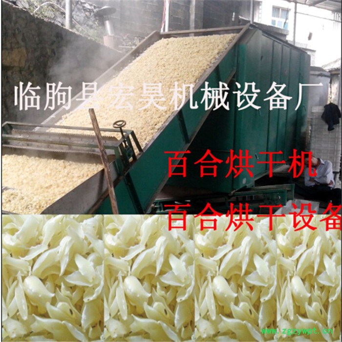 宏昊HHJ-100箱式干燥设备 山东菊花烘干机中药材专业烘干设备 菊花烘干房  高质量 价格优 欢迎定制 加工图6