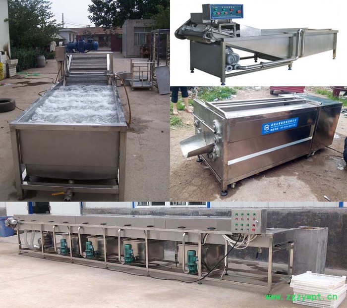 供应中药材清洗机/枸杞、益母草、甘草艾叶等清洗设备图2