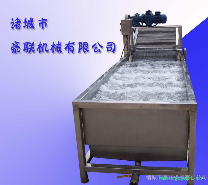 供应中药材清洗机/枸杞、益母草、甘草艾叶等清洗设备图5