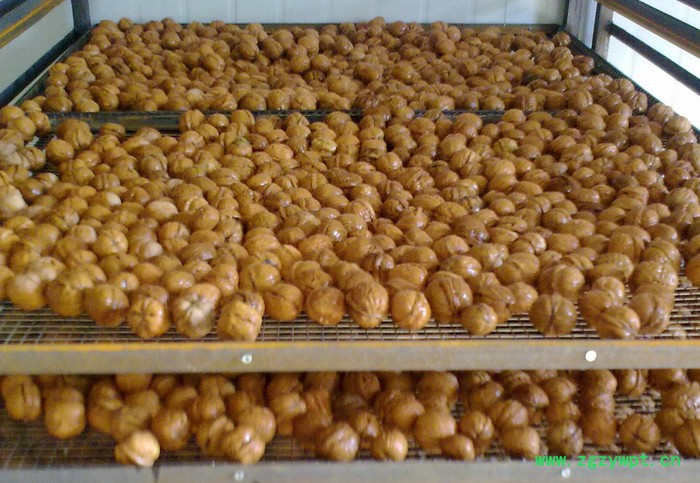 工厂特价直销大型烘干设备/干燥机/恒温箱/食品烘干/药材烘干图2