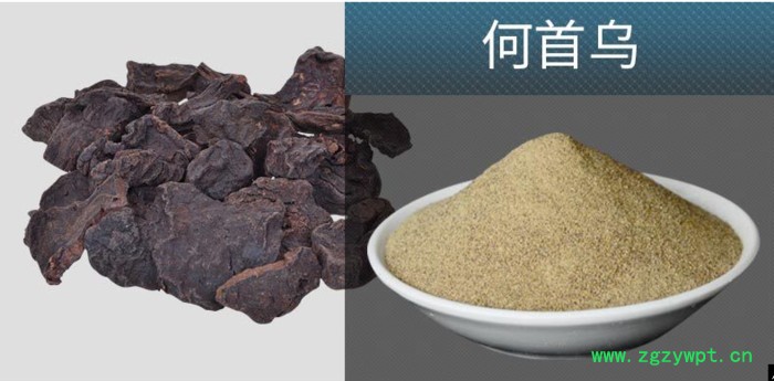 旭朗XL-60C1 小型中药粉碎机图6