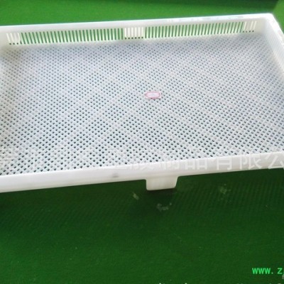 干燥烘盘 白色PP2号单冻器 720*420*70mm中药材