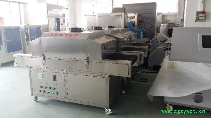 上海湘杰XJ-2000**食品杀菌设备 食品紫外线杀菌机 消毒杀菌炉 食品杀菌机图2