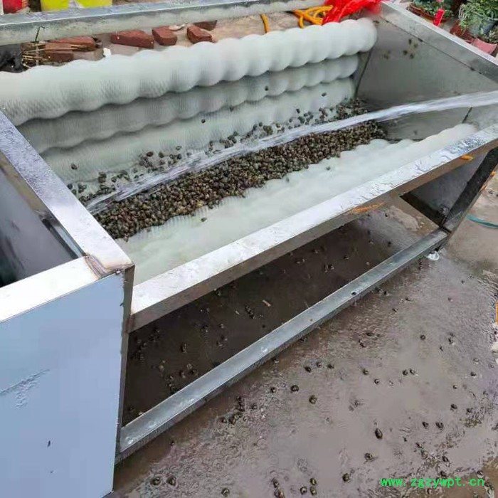 利顺 LS-MGQX中药材毛辊清洗机 猪头猪蹄羊头去杂清洗设备 魔芋百香果清洗机图7