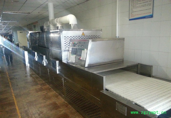 隧道微波干燥机微波药材干燥杀菌设备图2