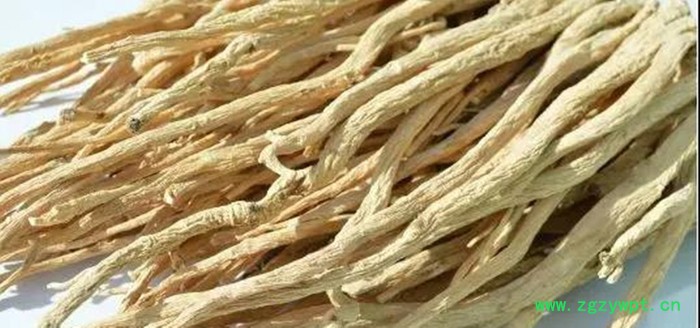 广州惠特高科党参热泵烘干机  中药材干燥设备图5