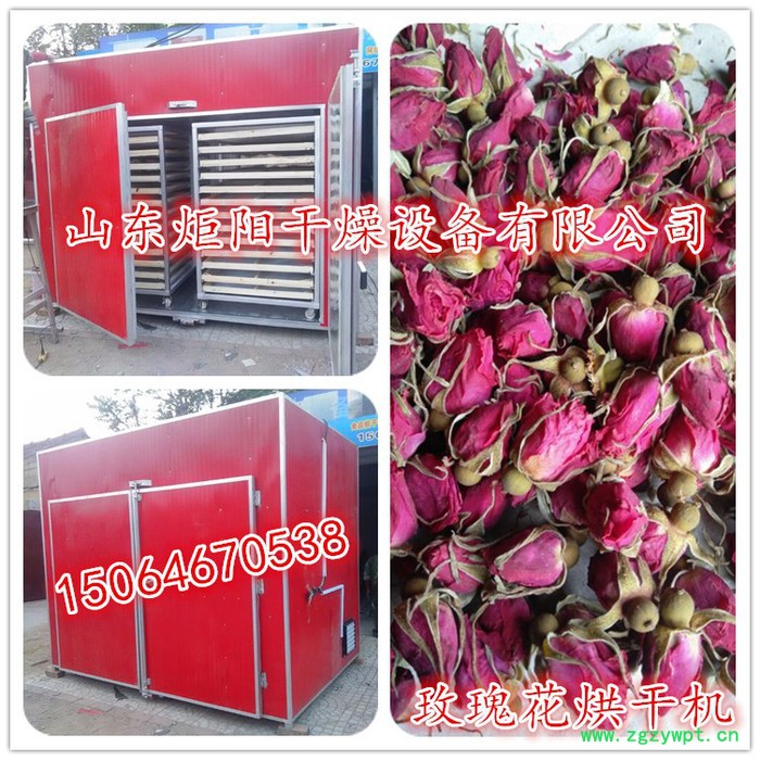 Jy-300菊花烘干机 烘干设备  玫瑰花等 各种药材图3